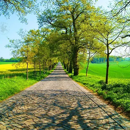 Appartamento Residenz Seeblick 3 Balkon Mit Zugang Zum Garten